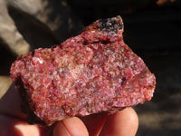 Natural Rough Red Rhodonite Specimens  x 12 From Zimbabwe