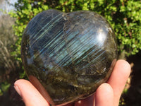 Polished  Puffy Labradorite Gemstone Hearts  x 2 From Tulear, Madagascar