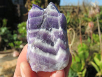 Natural Rough Selected Chevron Amethyst Pieces - sold per 1 kg from Zambia - TopRock