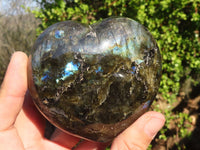 Polished  Puffy Labradorite Gemstone Hearts  x 2 From Tulear, Madagascar