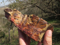 Natural Selected Banded Nguni Jasper Specimens  x 4 From Northern Cape, South Africa - TopRock