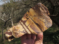 Natural Selected Banded Nguni Jasper Specimens  x 4 From Northern Cape, South Africa - TopRock