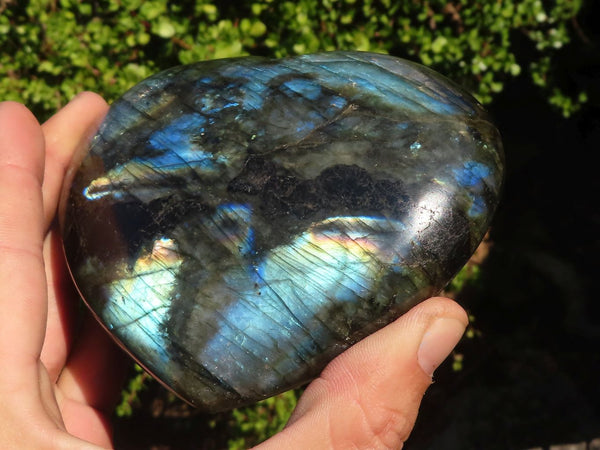 Polished  Puffy Labradorite Gemstone Hearts  x 2 From Tulear, Madagascar