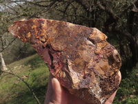 Natural Selected Banded Nguni Jasper Specimens  x 4 From Northern Cape, South Africa - TopRock