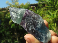 Natural Rough Watermelon Fluorite Pieces  x 7 From Uis, Namibia - TopRock