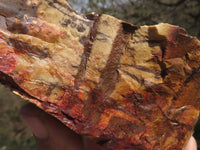 Natural Selected Banded Nguni Jasper Specimens  x 4 From Northern Cape, South Africa - TopRock