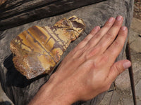 Natural Selected Banded Nguni Jasper Specimens  x 4 From Northern Cape, South Africa - TopRock