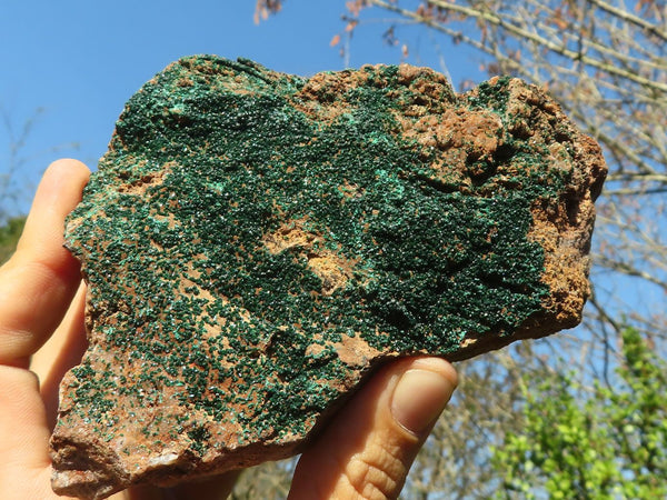 Natural Micro Botryoidal Malachite Specimens  x 3 From Congo - Toprock Gemstones and Minerals 