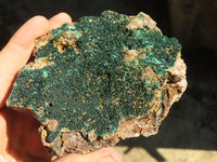 Natural Micro Botryoidal Malachite Specimens  x 3 From Congo - Toprock Gemstones and Minerals 