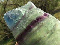 Polished Half Polished Watermelon Fluorite Free Form Slabs  x 6 From Uis, Namibia - TopRock