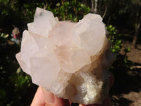 Natural White Cactus Flower Spirit Quartz Specimens  x 6 From Boekenhouthoek, South Africa - Toprock Gemstones and Minerals 