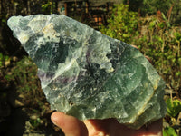 Polished One Side Polished Watermelon Fluorite Pieces  x 2 From Malawi