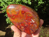 Polished Red Jasper Standing Free Forms  x 3 From Madagascar - Toprock Gemstones and Minerals 