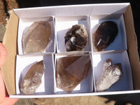 Natural Large Smokey Quartz Crystals  x 6 From Mulanje, Malawi - Toprock Gemstones and Minerals 