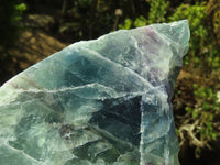 Polished One Side Polished Watermelon Fluorite Pieces  x 2 From Malawi