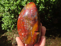 Polished Red Jasper Standing Free Forms  x 3 From Madagascar - Toprock Gemstones and Minerals 