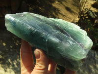 Polished One Side Polished Watermelon Fluorite Pieces  x 2 From Malawi