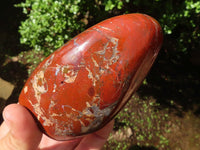 Polished Red Jasper Standing Free Forms  x 3 From Madagascar - Toprock Gemstones and Minerals 