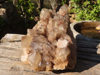 Natural Large Cascading Smokey Phantom Quartz Cluster x 1 From Luena, Congo