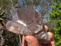 Natural Large Smokey Quartz Crystals  x 6 From Mulanje, Malawi - Toprock Gemstones and Minerals 