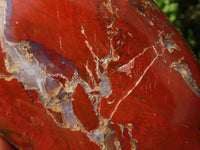 Polished Red Jasper Standing Free Forms  x 3 From Madagascar - Toprock Gemstones and Minerals 