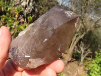 Natural Large Smokey Quartz Crystals  x 6 From Mulanje, Malawi - Toprock Gemstones and Minerals 