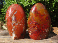 Polished Red Jasper Standing Free Forms  x 3 From Madagascar - Toprock Gemstones and Minerals 