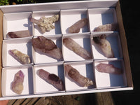 Natural Smokey / Window Amethyst Crystals  x 12 From Chiredzi, Zimbabwe