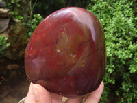 Polished Red Jasper Standing Free Forms  x 3 From Madagascar - Toprock Gemstones and Minerals 