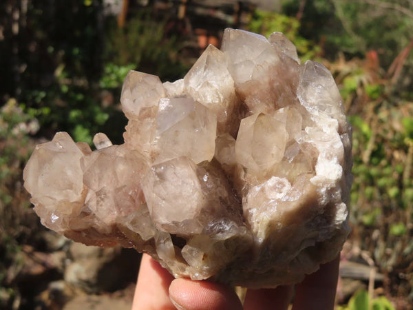 Natural Smokey Phantom Quartz Clusters x 5 From Luena, Congo