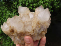 Natural Cascading White Phantom Quartz Clusters  x 2 From Luena, Congo - Toprock Gemstones and Minerals 