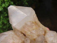 Natural Cascading White Phantom Quartz Clusters  x 2 From Luena, Congo - Toprock Gemstones and Minerals 