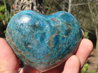 Polished Blue Apatite Hearts (Stone Sealed) x 6 From Madagascar - Toprock Gemstones and Minerals 