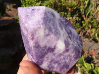 Polished  Pale Lepidolite Standing Free Form Points  x 3 From Zimbabwe