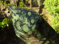 Polished Stromatolite Nebula Jasper Crystal Points  x 2 From Madagascar