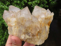 Natural Cascading White Phantom Quartz Clusters  x 2 From Luena, Congo - Toprock Gemstones and Minerals 