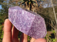 Polished  Pale Lepidolite Standing Free Form Points  x 3 From Zimbabwe