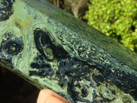 Polished Stromatolite Nebula Jasper Crystal Points  x 2 From Madagascar