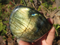 Polished Labradorite Standing Free Forms  x 3 From Tulear, Madagascar