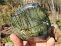 Polished Labradorite Standing Free Forms  x 3 From Tulear, Madagascar