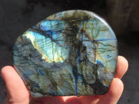 Polished Labradorite Standing Free Forms  x 3 From Tulear, Madagascar