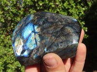 Polished Labradorite Standing Free Forms  x 3 From Tulear, Madagascar