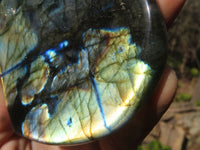 Polished Labradorite Standing Free Forms  x 3 From Tulear, Madagascar