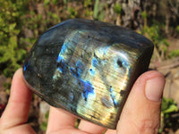 Polished Labradorite Standing Free Forms  x 3 From Tulear, Madagascar