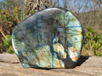 Polished Labradorite Standing Free Forms  x 3 From Tulear, Madagascar