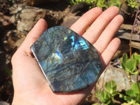 Polished Labradorite Standing Free Forms  x 3 From Tulear, Madagascar