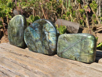 Polished Labradorite Standing Free Forms  x 3 From Tulear, Madagascar