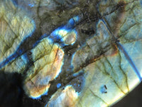 Polished Labradorite Standing Free Forms  x 3 From Tulear, Madagascar