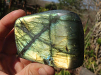 Polished Labradorite Standing Free Forms  x 3 From Tulear, Madagascar