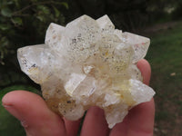 Natural Golden Healer Limonite "Honeycomb" Quartz Specimens  x 12 From Solwezi, Zambia - TopRock